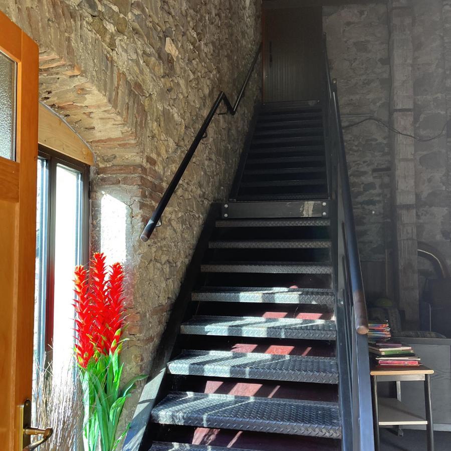 Domaine De Pipangaille Bed and Breakfast Andancette Eksteriør billede
